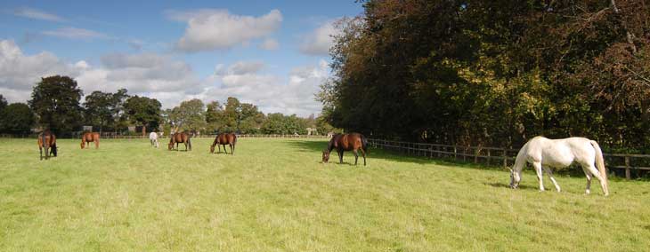 Lanwades Stud