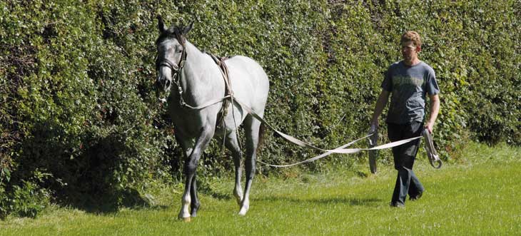 Staffordstown Stud